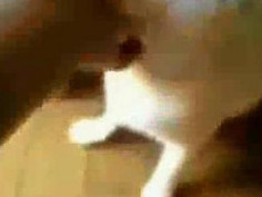 ❤❤전자여권위조pf-seoul＠bk.ru한국전자여권위조❤