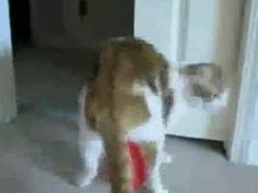 ❤❤여권 위조여권위 조여권위조pf-seoul＠bk.ru한국여권 위조여권위 조여권위조❤