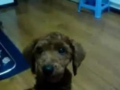 ❤❤여권제작여권위조여권제작pf-seoul＠bk.ru한국여권제작여권위조여권제작❤