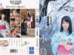 目の前に現れた小さな小鳥。ミニマム電撃移籍。 もりの小鳥 MUM-316