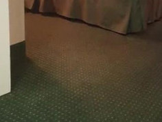 It must be so hot to come home to this