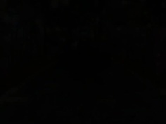 アラルガンド The Animation(中)