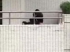 高中情侶在陽台開戰