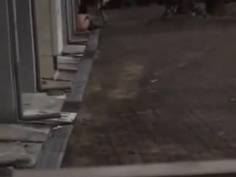 [不能只有我看到!!]原來在這X一中空地上，也帶來我們各位滿滿的， 大 砲 台~!(2)