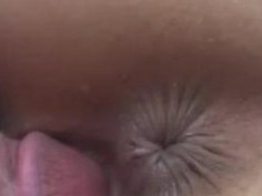 Hot Asian Collection