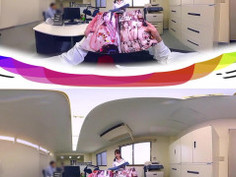 パワハラ, オフィスセクハラ