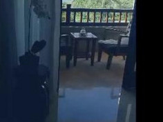 这叫声估计窗外的人也能依稀听见吧 叫声震天 Screamed