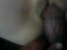 shasyaashesyaa pancut dalam