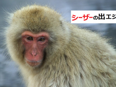 シーザーの出エジプト記