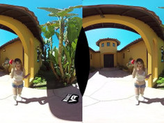 Wankz- Strokémon GO!