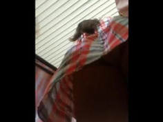 Pink Cotton Panty to Compliment This Amoi’s Flawless Buttcheeks Spotted this amoi on her way back from work and she’s too busy going through her phone, not realizing my camera was underneath her skirt, recording her glorious flawless buttcheeks for almost