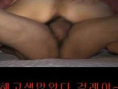 여러개 모음