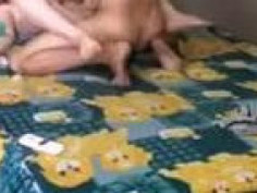 Gấu ngon Đại học Xã hội và Nhân văn