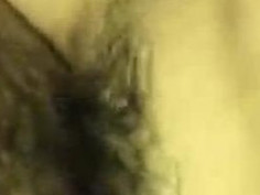 Dạy gấu tập cưỡi -vn