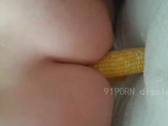 [異物侵入]白虎改吃素？！新鮮玉米先給下面吃，菊花好像還想要（有影）