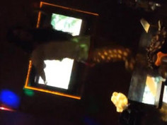 超嗨KTV在包房廂一邊K歌一邊啪啪 服務生突然闖進來嚇到尿都快噴了