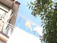 MSTG-007 弟の嫁 気がつくと目の前で�...