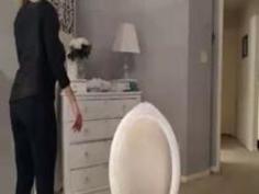 ジゼルウェブカメラ11-19-14（2）