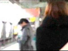 日本の真の仲間2