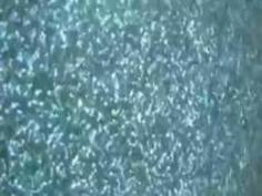 ＜水野朝陽,樹花凜＞熱々レズビアンスーパーセックスにハマっちゃった極美女たち★セクシーなお姉さん・超美人★