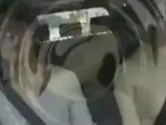 爆乳 仁科百華 カーセックス セックス むっちり