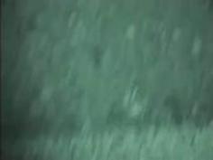 覗き隠し撮り！盗撮　カーセックス覗き撮りラブホテル盗撮ガチ映像