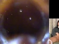 日本人の巨人の声