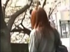 06200515 lowshark65a