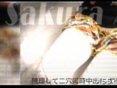 眩惑のトリオオリエンタルクック