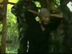 JAP軍輪姦＆キル