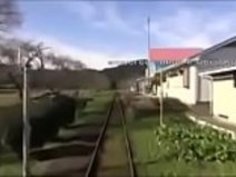 JAPお母さんの娘の家のM80の潜水艦を保ちます