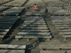 セクシーな日本の女