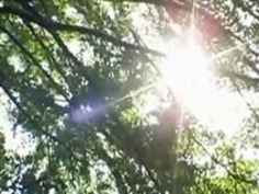 私は日本の十代の若者たち