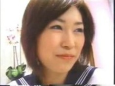 毛深い日本の猫は釘付け