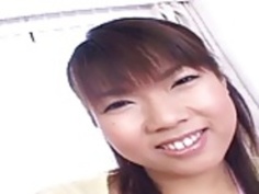 日本は深い袋とツバメ·バイPACKMANS