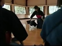 日本のレズビアンベストコレクション第14巻