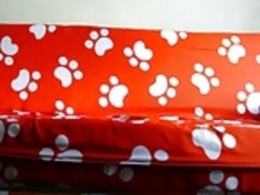 アジアのアマチュア