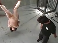 日本のMの一時停止＆鞭打ち