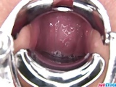 百瀬ひかるは狂気のおもちゃを詰めた