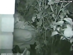 夜のセックス公園のベンチ