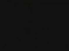 ディック・イン・ア・ボックス40