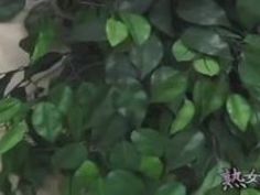 無修正 熟女 人妻 フェラ エロい