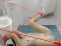 日本人アマチュアリーク