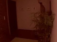 眼鏡の美女女子高生はチンコを握り指を自分のあそこに入れさせる