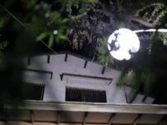 巨乳 温泉 美女 寝ている 乳