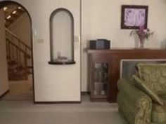 オナニー 筆おろし 夜這い 息子 夜這