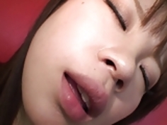 日本の猫の演劇19