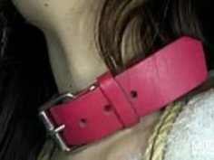 日本のスレーブドッグ10of11