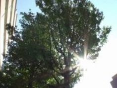 フェラ 痴女 おっぱい 口内 車