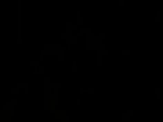 巨乳 明日花キララ 美女 乳 明日花